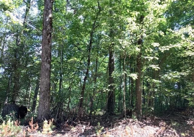 unimproved land for sale at 0 William Sluder Road, Ellijay, GA 30540 — photo 1 of 1