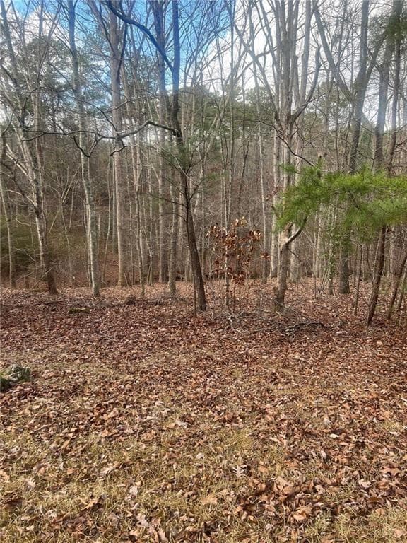 unimproved land for sale at 0 Economy Lane, Rome, GA 30161 — photo 1 of 1