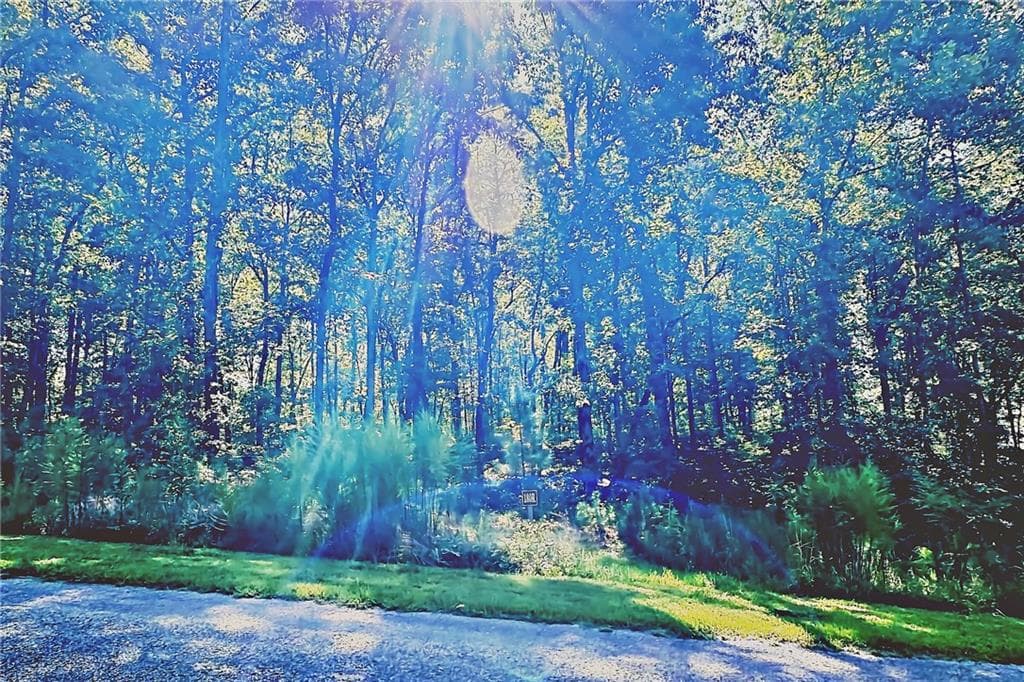 unimproved land for sale at 0 Pinnacle Drive, Ellijay, GA 30540 — photo 6