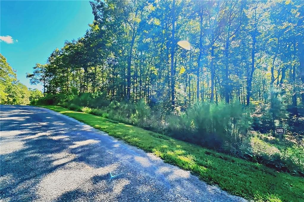 unimproved land for sale at 0 Pinnacle Drive, Ellijay, GA 30540 — photo 7