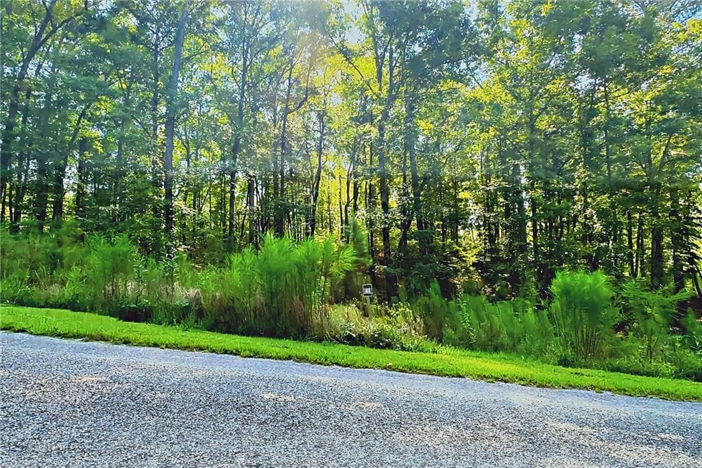 unimproved land for sale at 0 Pinnacle Drive, Ellijay, GA 30540 — photo 8