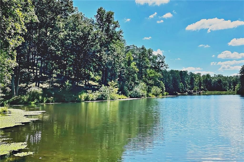unimproved land for sale at 0 Pinnacle Drive, Ellijay, GA 30540 — photo 10