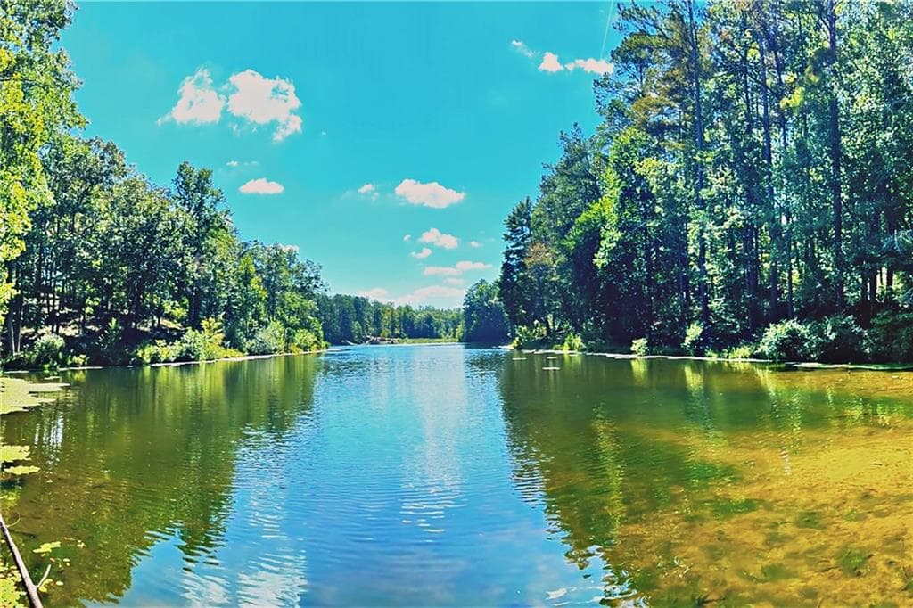 unimproved land for sale at 0 Pinnacle Drive, Ellijay, GA 30540 — photo 9