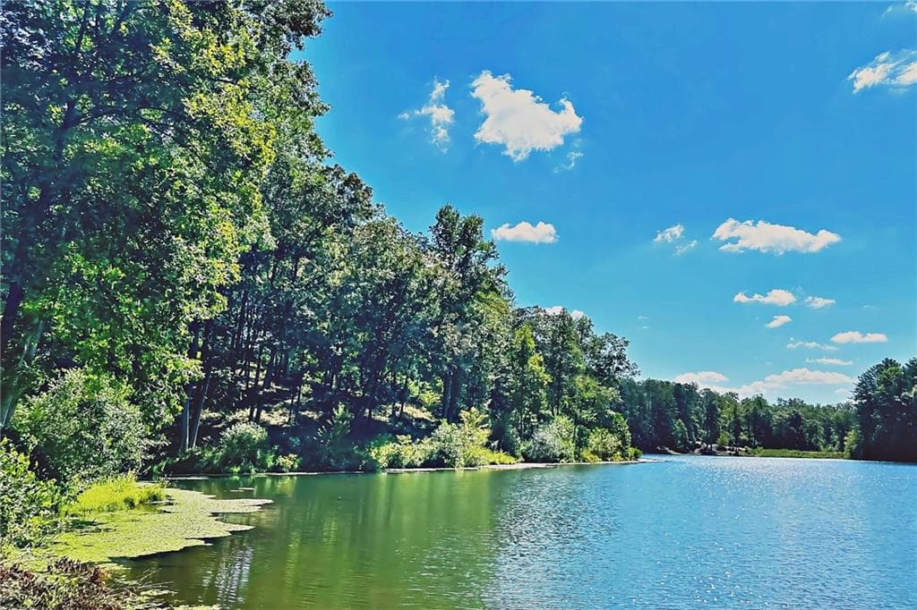 unimproved land for sale at 0 Pinnacle Drive, Ellijay, GA 30540 — photo 1 of 28