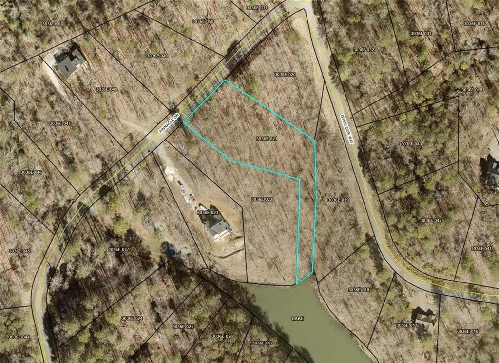 unimproved land for sale at 0 Pinnacle Drive, Ellijay, GA 30540 — photo 2
