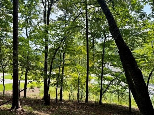 single family residence for sale at 40 Madeline Anthony Road, Dahlonega, GA 30533 — photo 3