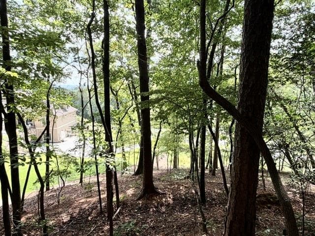 single family residence for sale at 40 Madeline Anthony Road, Dahlonega, GA 30533 — photo 4