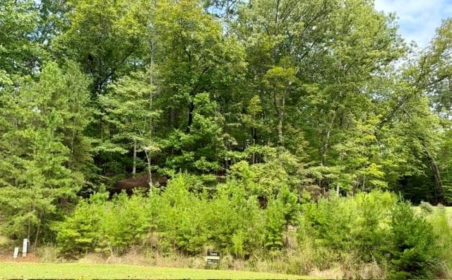 single family residence for sale at 40 Madeline Anthony Road, Dahlonega, GA 30533 — photo 5