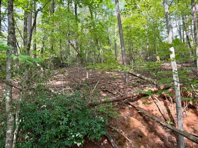 single family residence for sale at 40 Madeline Anthony Road, Dahlonega, GA 30533 — photo 6