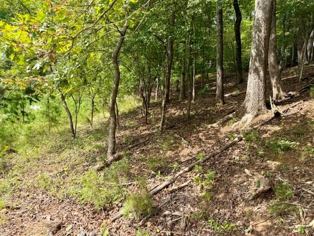 single family residence for sale at 40 Madeline Anthony Road, Dahlonega, GA 30533 — photo 7