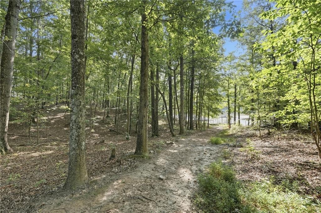4 bedroom, 3 bathroom, 2,662 sq ft single family residence for sale at 3056 Clear Cove Way, Gainesville, GA 30506 — photo 10