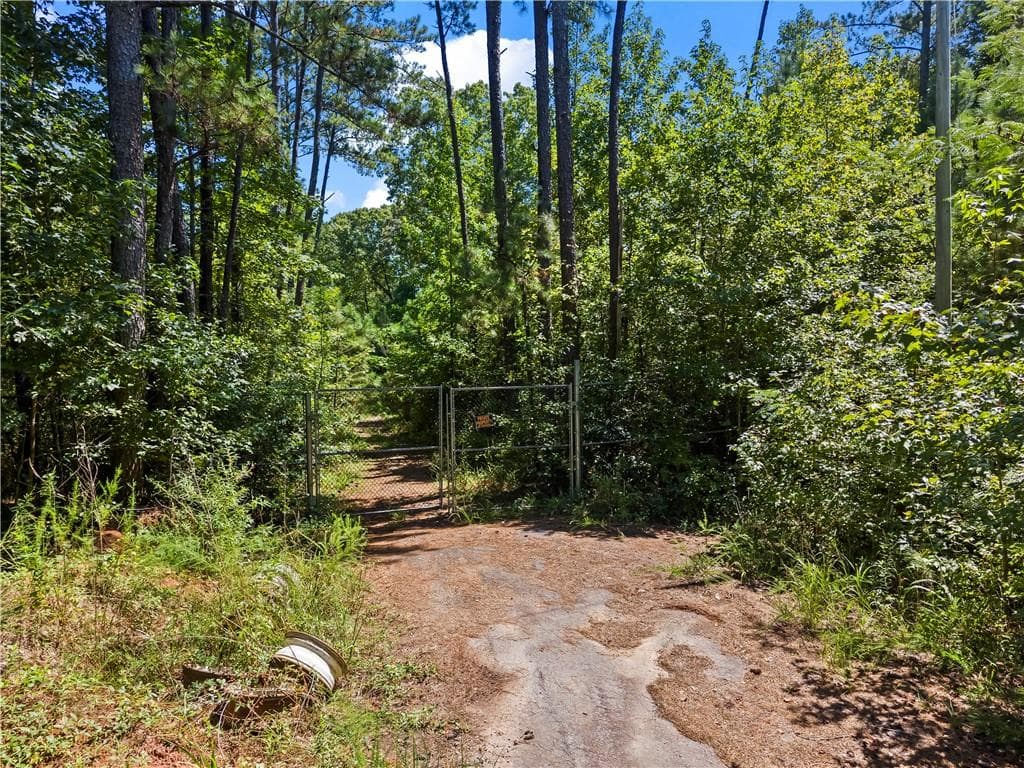 unimproved land for sale at 0 N/A, Sharpsburg, GA 30277 — photo 8
