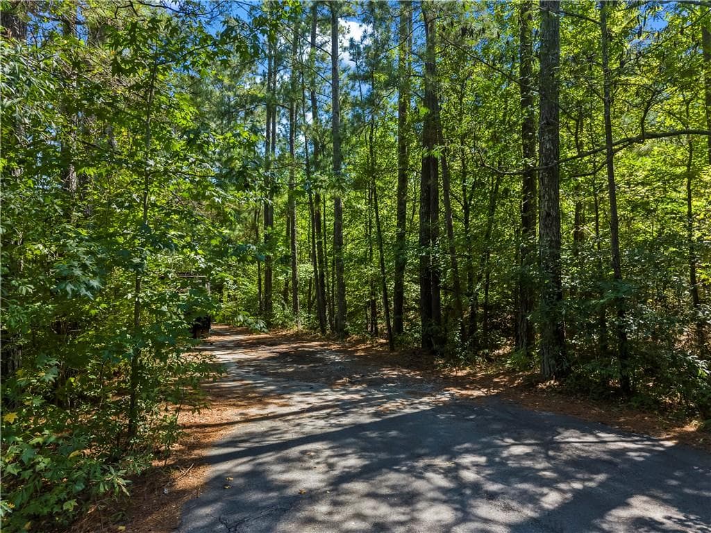 unimproved land for sale at 0 N/A, Sharpsburg, GA 30277 — photo 9
