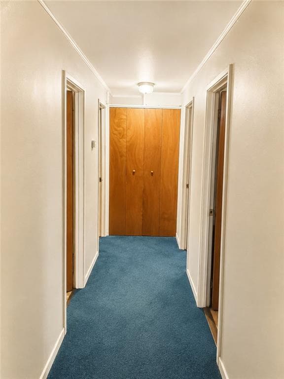 3 bedroom, 2 bathroom, 2,195 sq ft single family residence for sale at 1002 N Carroll Street, Albany, GA 31705 — photo 8
