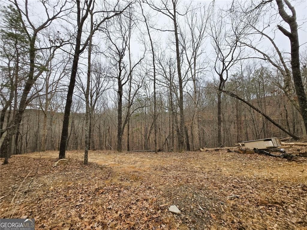 single family residence for sale at 1344 Brushy Mountain Road, Rockmart, GA 30153 — photo 4