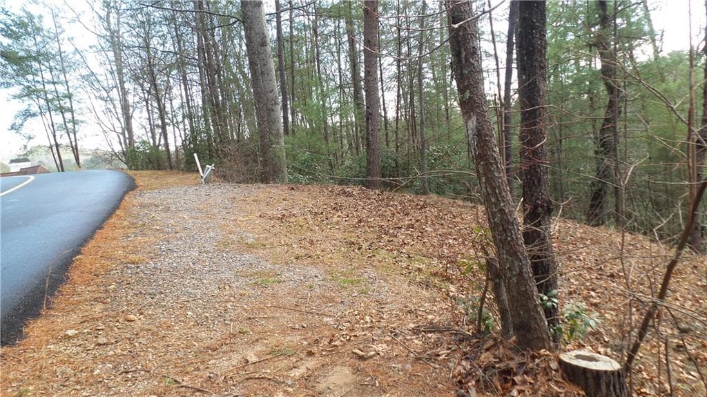 single family residence for sale at 0 Bahn Innsbruck, Helen, GA 30545 — photo 2