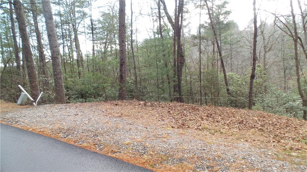 single family residence for sale at 0 Bahn Innsbruck, Helen, GA 30545 — photo 3