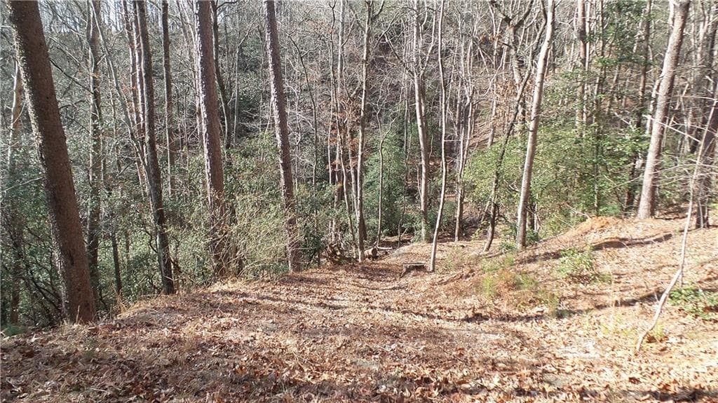single family residence for sale at 0 Bahn Innsbruck, Helen, GA 30545 — photo 7