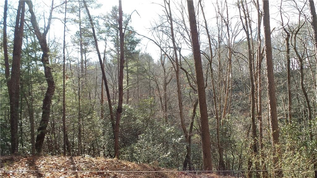 single family residence for sale at 0 Bahn Innsbruck, Helen, GA 30545 — photo 9