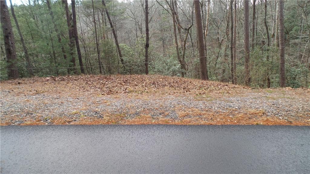 single family residence for sale at 0 Bahn Innsbruck, Helen, GA 30545 — photo 10