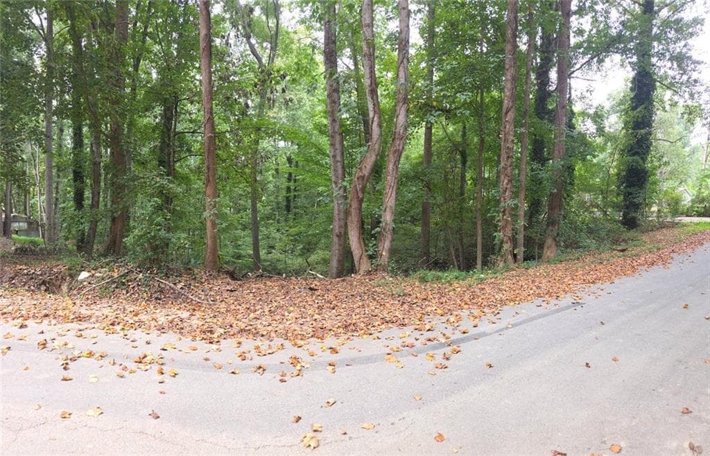 other for sale at 3828 Lance Drive, Flowery Branch, GA 30542
