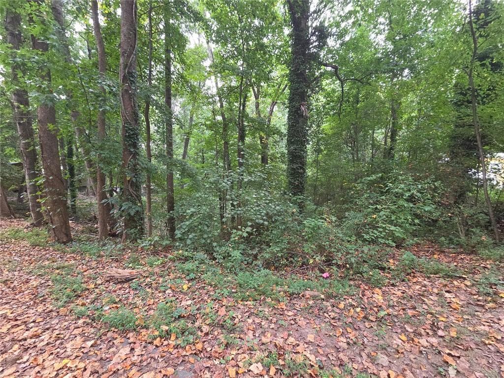 other for sale at 3828 Lance Drive, Flowery Branch, GA 30542 — photo 2