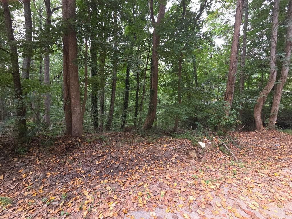 other for sale at 3828 Lance Drive, Flowery Branch, GA 30542 — photo 3