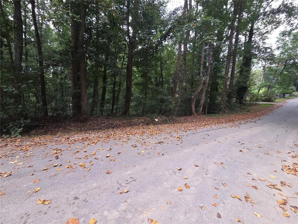 other for sale at 3828 Lance Drive, Flowery Branch, GA 30542 — photo 4
