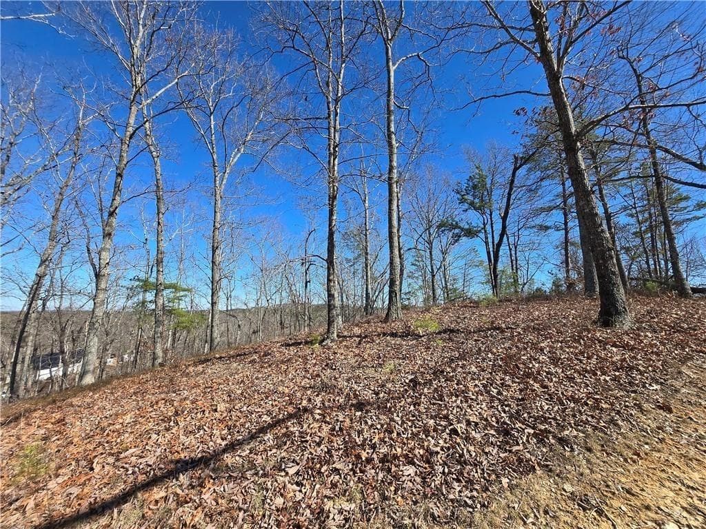 single family residence for sale at 00 Brushy Mountain Road, Rockmart, GA 30153 — photo 5