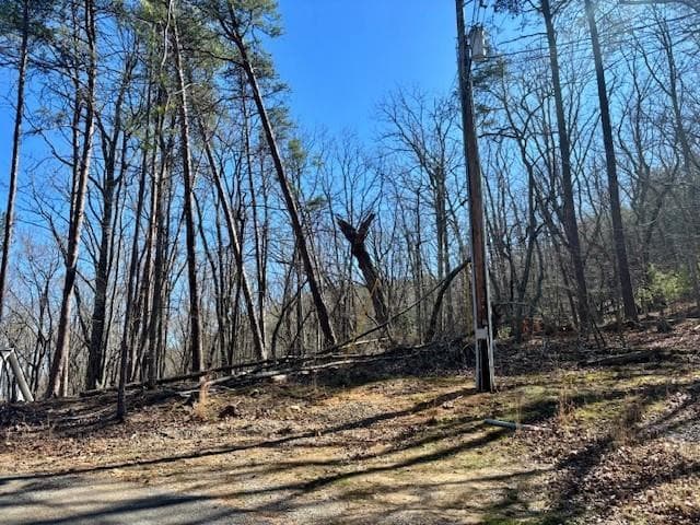 single family residence for sale at 125 Gum Wood Court, Waleska, GA 30183