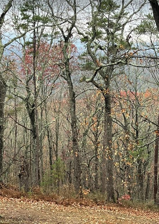 single family residence for sale at 437 Mccurry Trail, Canton, GA 30114 — photo 2