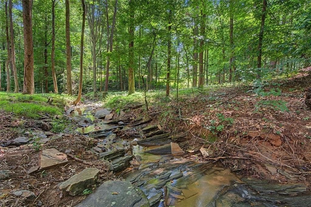5 bedroom, 6 bathroom, 6,863 sq ft single family residence for sale at 1244 Timberland Drive, Marietta, GA 30067 — photo 4