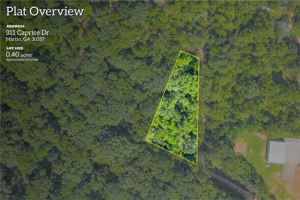 other for sale at 311 Caprice Drive, Martin, GA 30557
