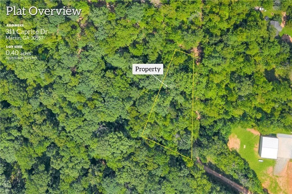 other for sale at 311 Caprice Drive, Martin, GA 30557 — photo 2