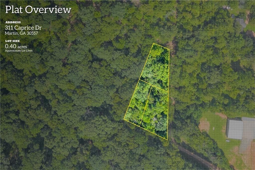 other for sale at 311 Caprice Drive, Martin, GA 30557 — photo 3