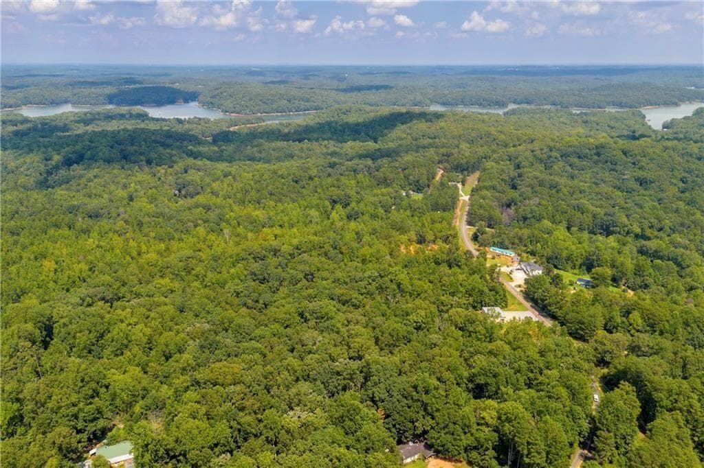 other for sale at 311 Caprice Drive, Martin, GA 30557 — photo 6