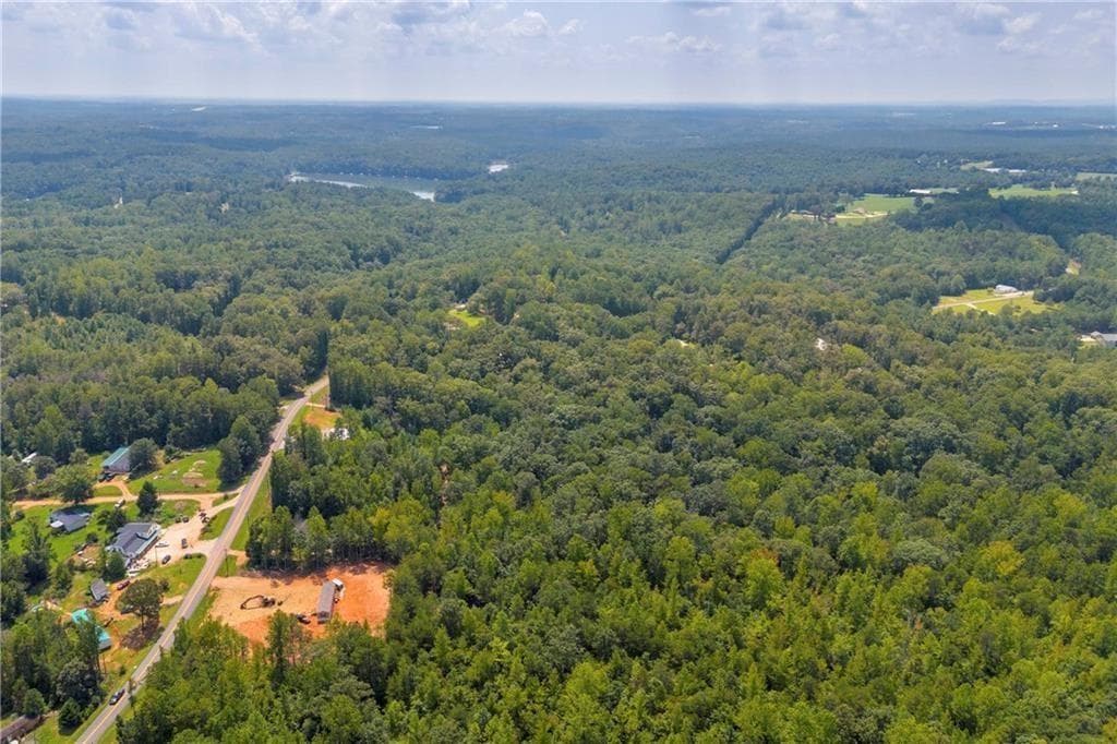 other for sale at 311 Caprice Drive, Martin, GA 30557 — photo 8