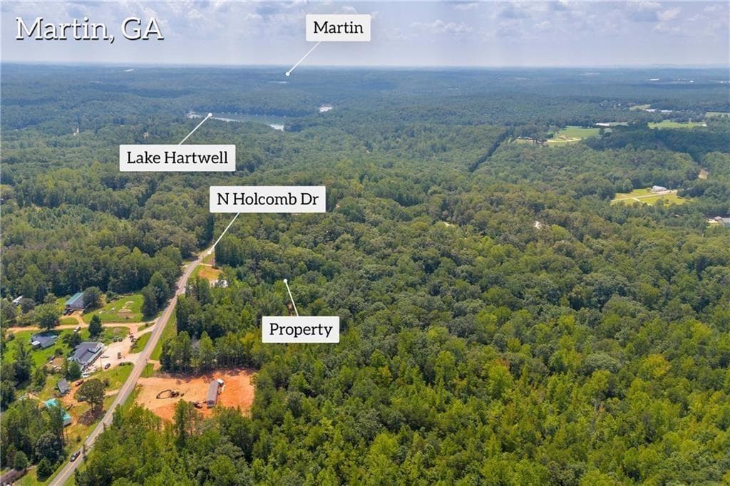 other for sale at 311 Caprice Drive, Martin, GA 30557 — photo 9