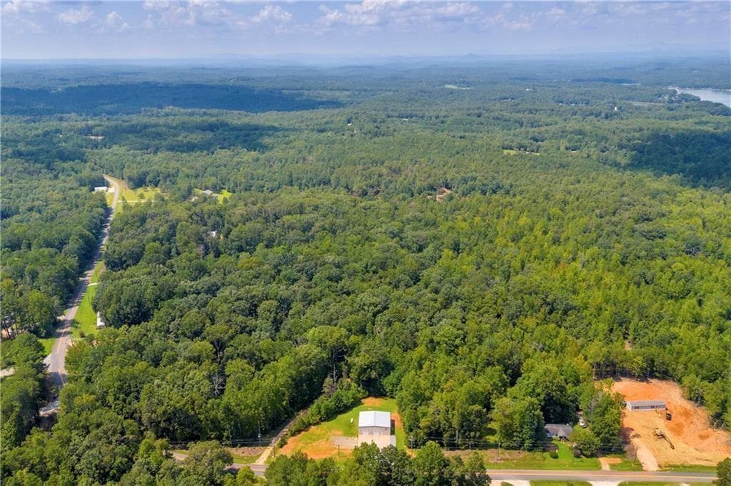 other for sale at 311 Caprice Drive, Martin, GA 30557 — photo 10