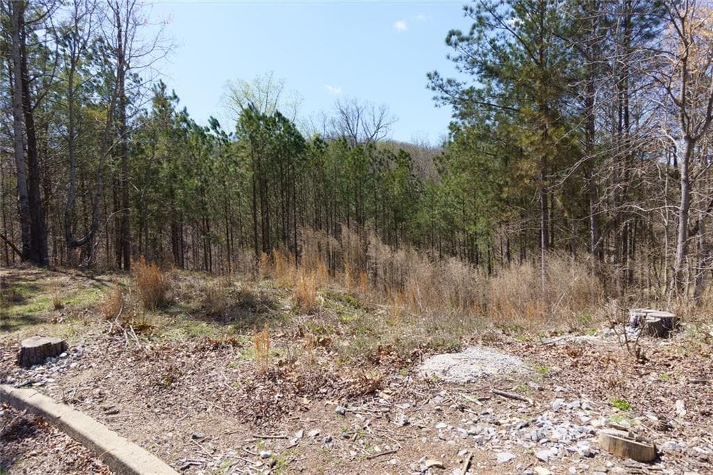 unimproved land for sale at 6840 Nantucket Cove, Cumming, GA 30041 — photo 10