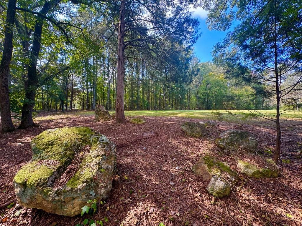 other for sale at 17 Farm Road, Taylorsville, GA 30178 — photo 9