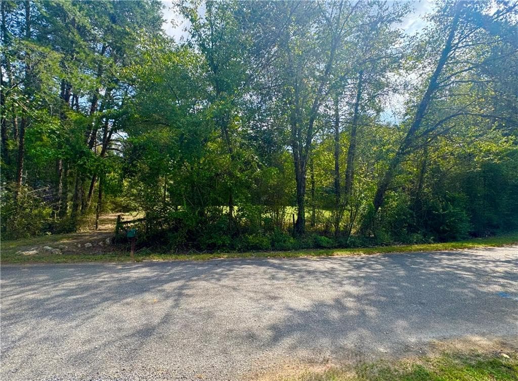 other for sale at 17 Farm Road, Taylorsville, GA 30178 — photo 10