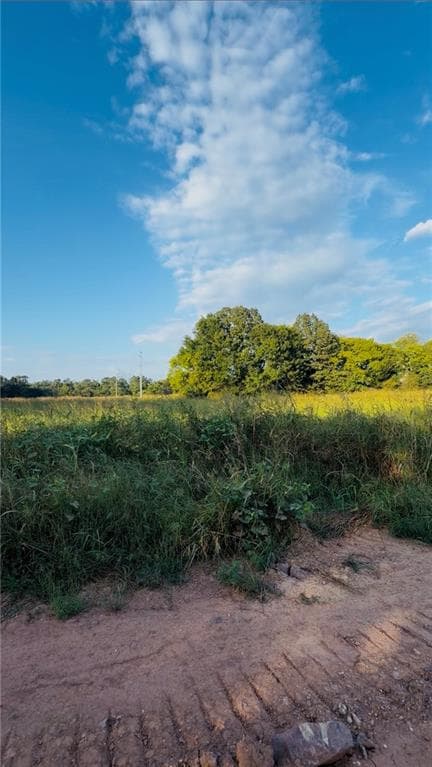 unimproved land for sale at 474 Mcdaniel Station Road, Calhoun, GA 30701 — photo 2