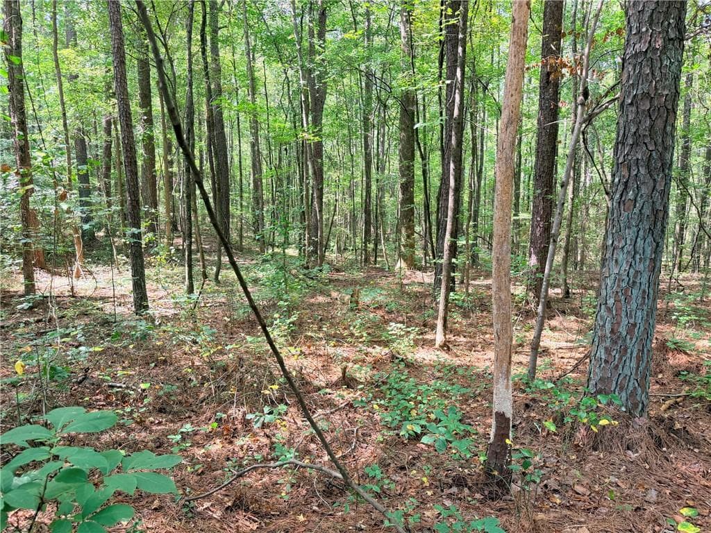 single family residence for sale at 0 Rockmart Road, Villa Rica, GA 30180 — photo 6