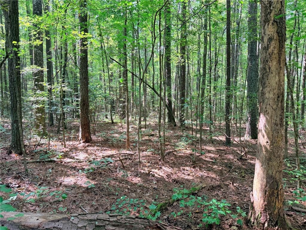 single family residence for sale at 0 Rockmart Road, Villa Rica, GA 30180 — photo 7
