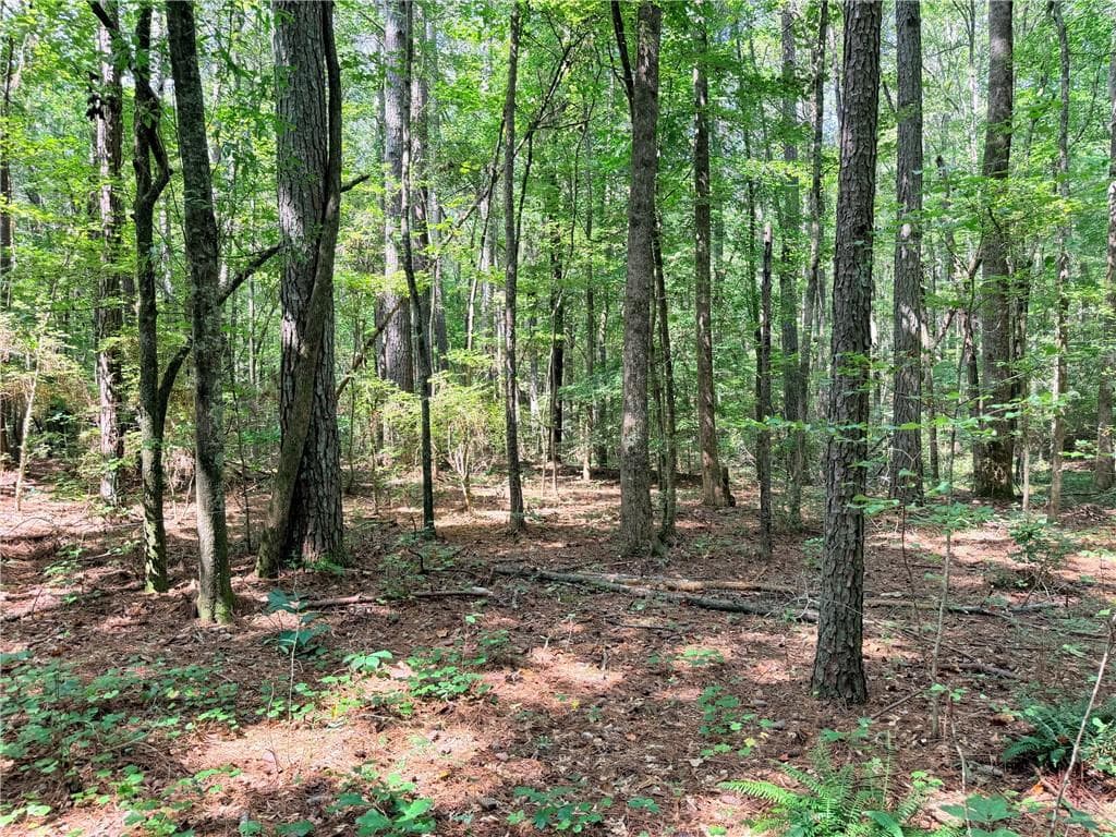 single family residence for sale at 0 Rockmart Road, Villa Rica, GA 30180 — photo 8