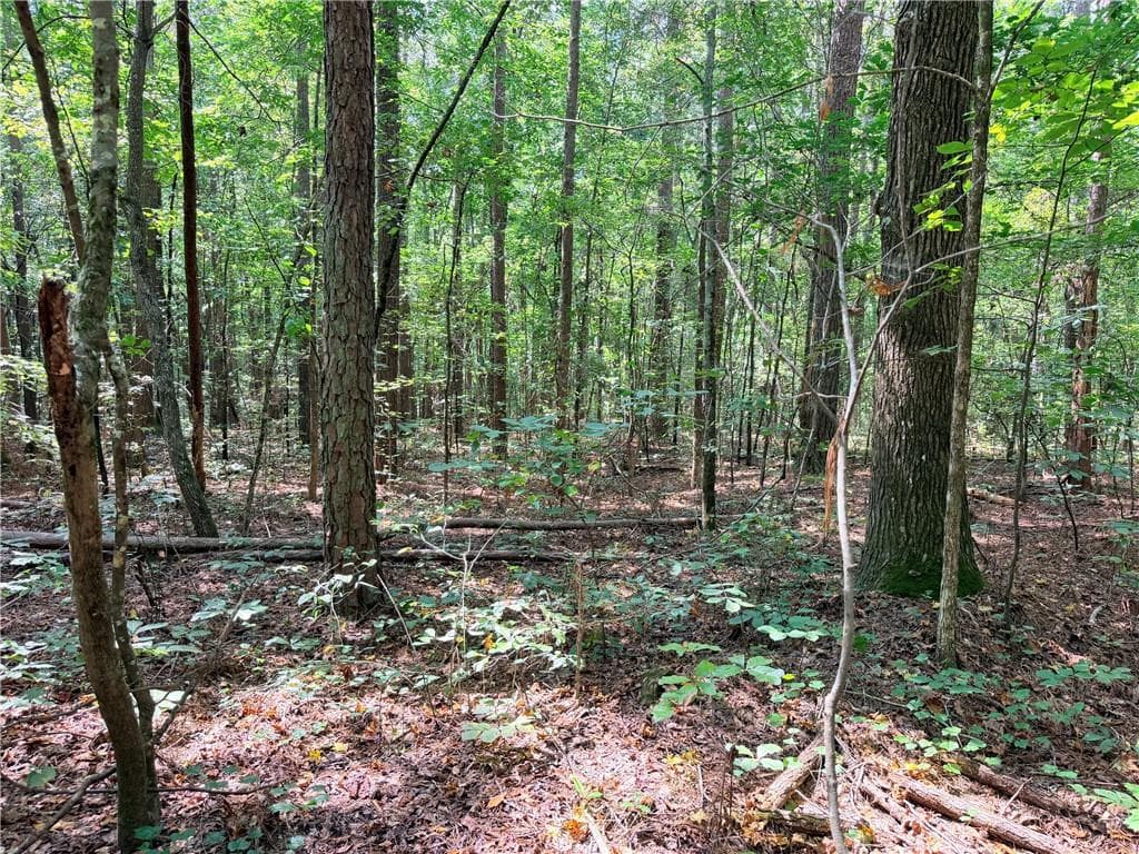 single family residence for sale at 0 Rockmart Road, Villa Rica, GA 30180 — photo 9