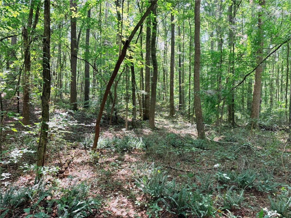 single family residence for sale at 0 Rockmart Road, Villa Rica, GA 30180 — photo 10
