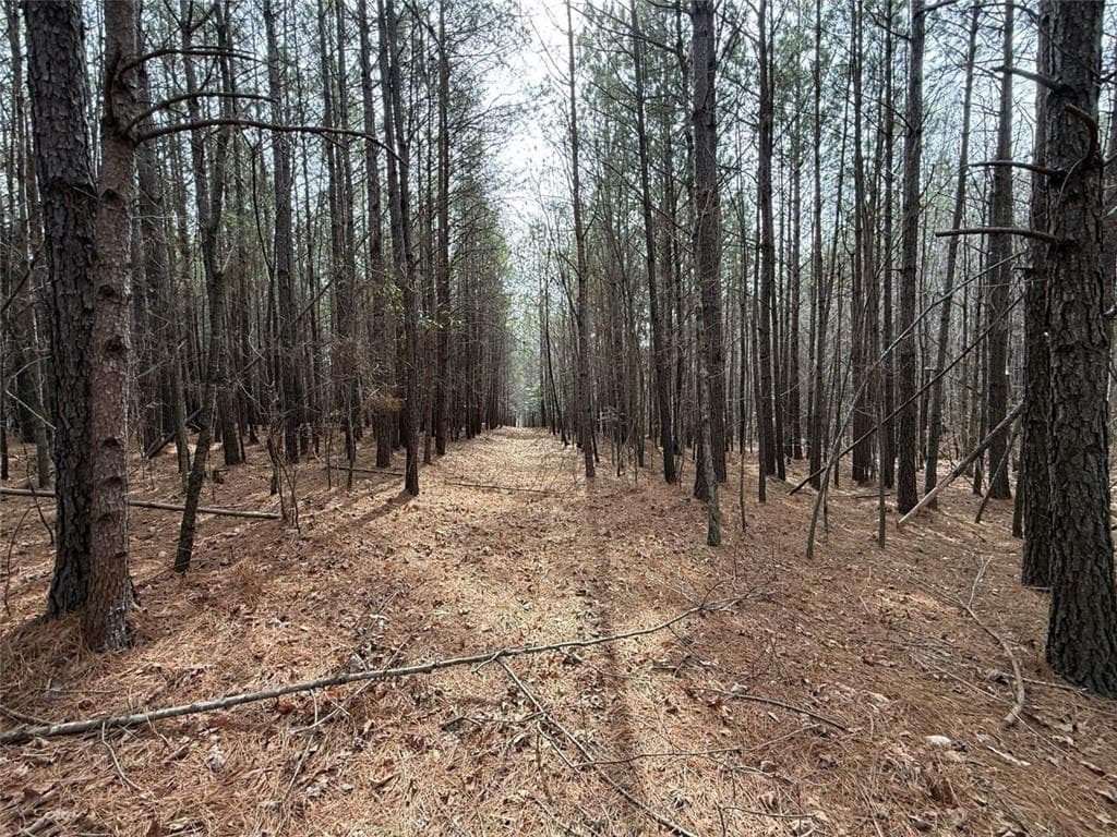 4 bedroom, 4 bathroom single family residence for sale at 3616 Thompson Mill Road, Buford, GA 30519 — photo 6