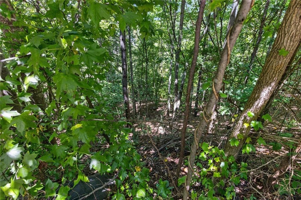 1 bedroom, 1 bathroom unimproved land for sale at 1179 Woodtrace Lane, Auburn, GA 30011 — photo 7